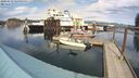 ./images/quadra/hbidock/20240319/hbidock20240319_145501M.jpg