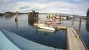./images/quadra/hbidock/20240319/hbidock20240319_152501M.jpg