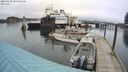 ./images/quadra/hbidock/20240320/hbidock20240320_104501M.jpg
