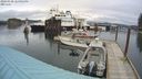./images/quadra/hbidock/20240320/hbidock20240320_124002M.jpg
