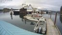 ./images/quadra/hbidock/20240320/hbidock20240320_124501M.jpg