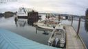 ./images/quadra/hbidock/20240320/hbidock20240320_131001M.jpg