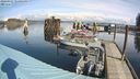 ./images/quadra/hbidock/20240321/hbidock20240321_121002M.jpg