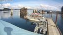 ./images/quadra/hbidock/20240321/hbidock20240321_123501M.jpg