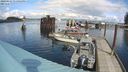 ./images/quadra/hbidock/20240321/hbidock20240321_131501M.jpg