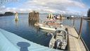 ./images/quadra/hbidock/20240321/hbidock20240321_132002M.jpg