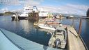 ./images/quadra/hbidock/20240321/hbidock20240321_144001M.jpg