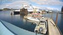 ./images/quadra/hbidock/20240321/hbidock20240321_150502M.jpg