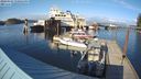 ./images/quadra/hbidock/20240321/hbidock20240321_170501M.jpg
