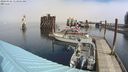 ./images/quadra/hbidock/20240324/hbidock20240324_113001M.jpg