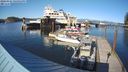 ./images/quadra/hbidock/20240324/hbidock20240324_165001M.jpg