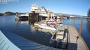 ./images/quadra/hbidock/20240324/hbidock20240324_165501M.jpg
