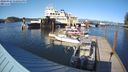 ./images/quadra/hbidock/20240324/hbidock20240324_170002M.jpg