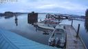 ./images/quadra/hbidock/20240325/hbidock20240325_070501M.jpg