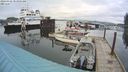 ./images/quadra/hbidock/20240325/hbidock20240325_083502M.jpg