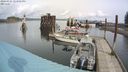 ./images/quadra/hbidock/20240325/hbidock20240325_123501M.jpg
