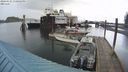 ./images/quadra/hbidock/20240325/hbidock20240325_150001M.jpg