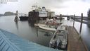 ./images/quadra/hbidock/20240325/hbidock20240325_150501M.jpg
