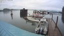 ./images/quadra/hbidock/20240325/hbidock20240325_190001M.jpg