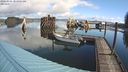 ./images/quadra/hbidock/20240326/hbidock20240326_104001M.jpg