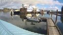 ./images/quadra/hbidock/20240326/hbidock20240326_110501M.jpg