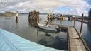 ./images/quadra/hbidock/20240326/hbidock20240326_111001M.jpg
