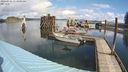 ./images/quadra/hbidock/20240326/hbidock20240326_113001M.jpg