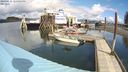 ./images/quadra/hbidock/20240326/hbidock20240326_125001M.jpg