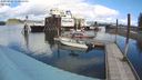 ./images/quadra/hbidock/20240326/hbidock20240326_130001M.jpg