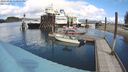 ./images/quadra/hbidock/20240326/hbidock20240326_130502M.jpg