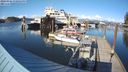 ./images/quadra/hbidock/20240326/hbidock20240326_170001M.jpg