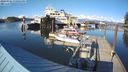 ./images/quadra/hbidock/20240326/hbidock20240326_170501M.jpg