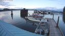 ./images/quadra/hbidock/20240326/hbidock20240326_194001M.jpg