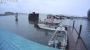 ./images/quadra/hbidock/20240327/hbidock20240327_072502M.jpg