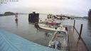 ./images/quadra/hbidock/20240327/hbidock20240327_083001M.jpg