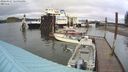 ./images/quadra/hbidock/20240327/hbidock20240327_145001M.jpg