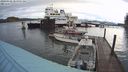 ./images/quadra/hbidock/20240328/hbidock20240328_084001M.jpg