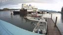 ./images/quadra/hbidock/20240328/hbidock20240328_085001M.jpg