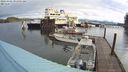 ./images/quadra/hbidock/20240328/hbidock20240328_091001M.jpg