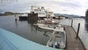 ./images/quadra/hbidock/20240328/hbidock20240328_091501M.jpg