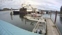 ./images/quadra/hbidock/20240328/hbidock20240328_112502M.jpg