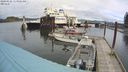 ./images/quadra/hbidock/20240328/hbidock20240328_113002M.jpg