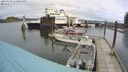 ./images/quadra/hbidock/20240328/hbidock20240328_113501M.jpg