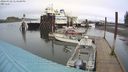 ./images/quadra/hbidock/20240328/hbidock20240328_133001M.jpg