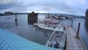 ./images/quadra/hbidock/20240328/hbidock20240328_195002M.jpg