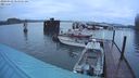 ./images/quadra/hbidock/20240329/hbidock20240329_065501M.jpg