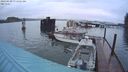 ./images/quadra/hbidock/20240329/hbidock20240329_071001M.jpg