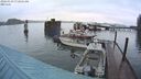 ./images/quadra/hbidock/20240329/hbidock20240329_072501M.jpg