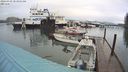 ./images/quadra/hbidock/20240329/hbidock20240329_083001M.jpg