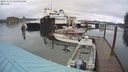 ./images/quadra/hbidock/20240329/hbidock20240329_104501M.jpg
